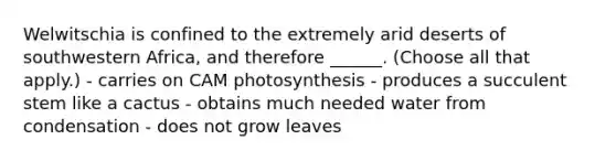 Welwitschia is confined to the extremely arid deserts of southwestern Africa, and therefore ______. (Choose all that apply.) - carries on CAM photosynthesis - produces a succulent stem like a cactus - obtains much needed water from condensation - does not grow leaves