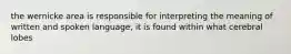 the wernicke area is responsible for interpreting the meaning of written and spoken language, it is found within what cerebral lobes