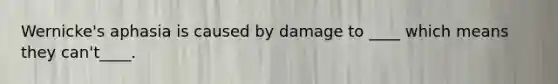 Wernicke's aphasia is caused by damage to ____ which means they can't____.