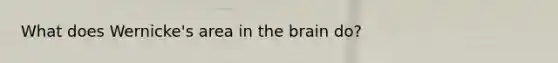 What does Wernicke's area in the brain do?