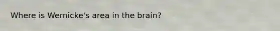 Where is Wernicke's area in the brain?