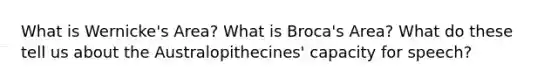 What is Wernicke's Area? What is Broca's Area? What do these tell us about the Australopithecines' capacity for speech?