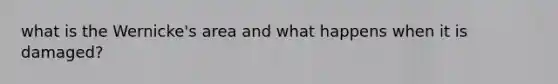 what is the Wernicke's area and what happens when it is damaged?