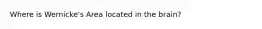 Where is Wernicke's Area located in the brain?