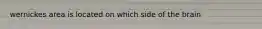 wernickes area is located on which side of the brain