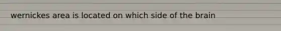 wernickes area is located on which side of the brain