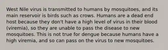 West Nile virus is transmitted to humans by mosquitoes, and its main reservoir is birds such as crows. Humans are a dead end host because they don't have a high level of virus in their blood (viremia), so they are unable to pass the disease to new mosquitoes. This is not true for dengue because humans have a high viremia, and so can pass on the virus to new mosquitoes.