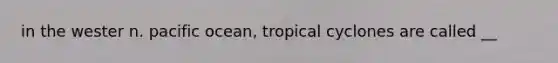 in the wester n. pacific ocean, tropical cyclones are called __