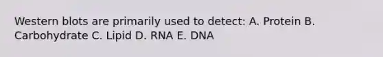 Western blots are primarily used to detect: A. Protein B. Carbohydrate C. Lipid D. RNA E. DNA