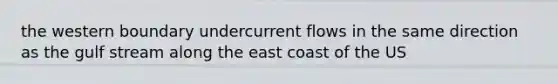 the western boundary undercurrent flows in the same direction as the gulf stream along the east coast of the US