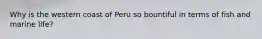 Why is the western coast of Peru so bountiful in terms of fish and marine life?