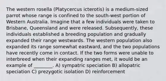 The western rosella (Platycercus icterotis) is a medium-sized parrot whose range is confined to the south-west portion of Western Australia. Imagine that a few individuals were taken to Brisbane, Queensland and were released. Subsequently, these individuals established a breeding population and gradually expanded their range westwards. The western population also expanded its range somewhat eastward, and the two populations have recently come in contact. If the two forms were unable to interbreed when their expanding ranges met, it would be an example of ________. A) sympatric speciation B) allopatric speciation C) prezygotic isolation D) reinforcement