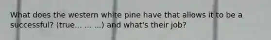 What does the western white pine have that allows it to be a successful? (true... ... ...) and what's their job?