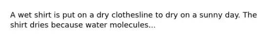 A wet shirt is put on a dry clothesline to dry on a sunny day. The shirt dries because water molecules...