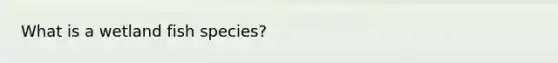 What is a wetland fish species?