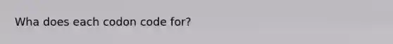 Wha does each codon code for?