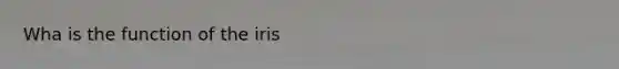Wha is the function of the iris
