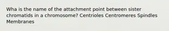 Wha is the name of the attachment point between sister chromatids in a chromosome? Centrioles Centromeres Spindles Membranes