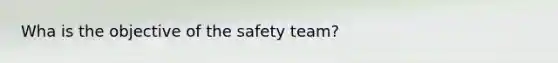 Wha is the objective of the safety team?