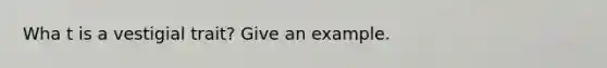 Wha t is a vestigial trait? Give an example.