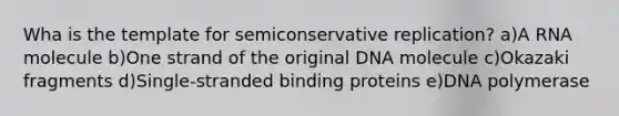 Wha is the template for semiconservative replication? a)A RNA molecule b)One strand of the original DNA molecule c)Okazaki fragments d)Single-stranded binding proteins e)DNA polymerase