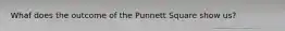 Whaf does the outcome of the Punnett Square show us?