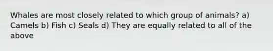 Whales are most closely related to which group of animals? a) Camels b) Fish c) Seals d) They are equally related to all of the above