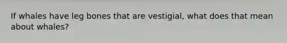 If whales have leg bones that are vestigial, what does that mean about whales?