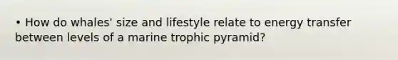 • How do whales' size and lifestyle relate to energy transfer between levels of a marine trophic pyramid?