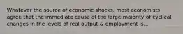 Whatever the source of economic shocks, most economists agree that the immediate cause of the large majority of cyclical changes in the levels of real output & employment is...