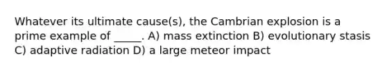 Whatever its ultimate cause(s), the Cambrian explosion is a prime example of _____. A) mass extinction B) evolutionary stasis C) adaptive radiation D) a large meteor impact