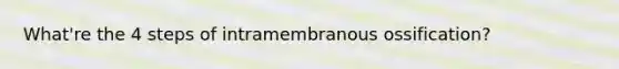 What're the 4 steps of intramembranous ossification?