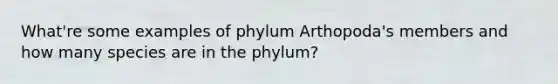 What're some examples of phylum Arthopoda's members and how many species are in the phylum?