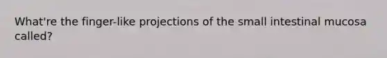 What're the finger-like projections of the small intestinal mucosa called?