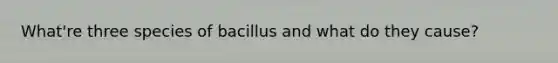 What're three species of bacillus and what do they cause?