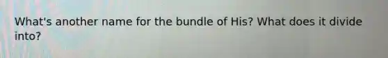 What's another name for the bundle of His? What does it divide into?