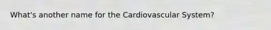 What's another name for the Cardiovascular System?