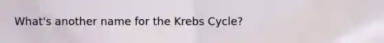 What's another name for the Krebs Cycle?