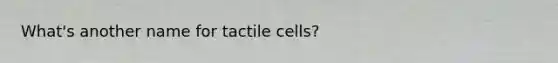 What's another name for tactile cells?