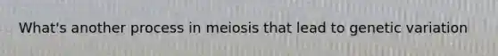 What's another process in meiosis that lead to genetic variation