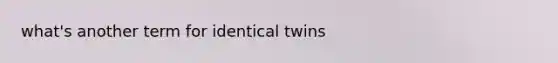 what's another term for identical twins