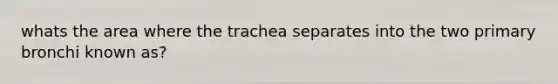 whats the area where the trachea separates into the two primary bronchi known as?