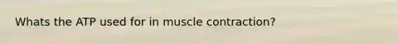 Whats the ATP used for in muscle contraction?