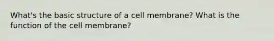 What's the basic structure of a cell membrane? What is the function of the cell membrane?