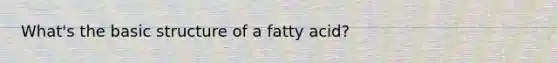 What's the basic structure of a fatty acid?