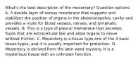 What's the best description of the mesentery? Question options: A. A double layer of serous membrane that supports and stabilizes the position of organs in the abdominopelvic cavity and provides a route for blood vessels, nerves, and lymphatic vessels. B. This is a type of pleural membrane that secretes fluids that are extracellular-like and allow organs to move without friction. C. Mesentery is a tissue type,one of the 4 basic tissue types, and it is usually important for protection. D. Mesentary is derived from the latin word mystery. It is a mysterious tissue with an unknown function.