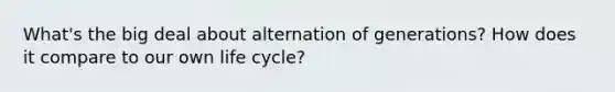 What's the big deal about alternation of generations? How does it compare to our own life cycle?