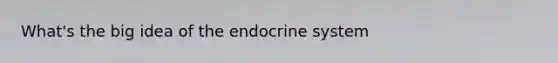 What's the big idea of the endocrine system