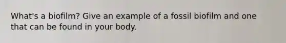 What's a biofilm? Give an example of a fossil biofilm and one that can be found in your body.