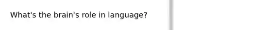 What's the brain's role in language?